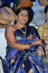 Naa Peru Surya Naa Illu India Pre Release Event Photos